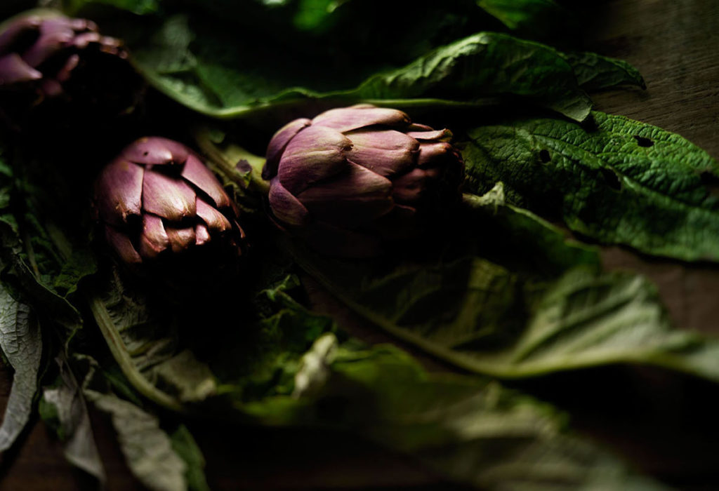 Artichokken TWEE C 16 A Artichokken TWEE C 16 A